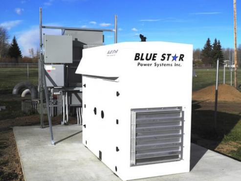 Houston Blue Star Power Systems Distributor